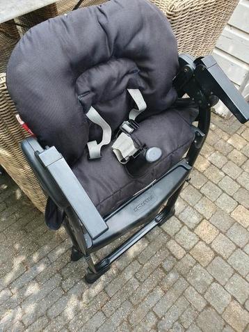 Koelstra Dino  beschikbaar voor biedingen