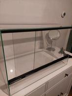 Terrarium 60x40x40, Dieren en Toebehoren, Ophalen, Zo goed als nieuw