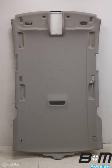 Hemel Audi A6 4F Avant 4F9867505 beschikbaar voor biedingen