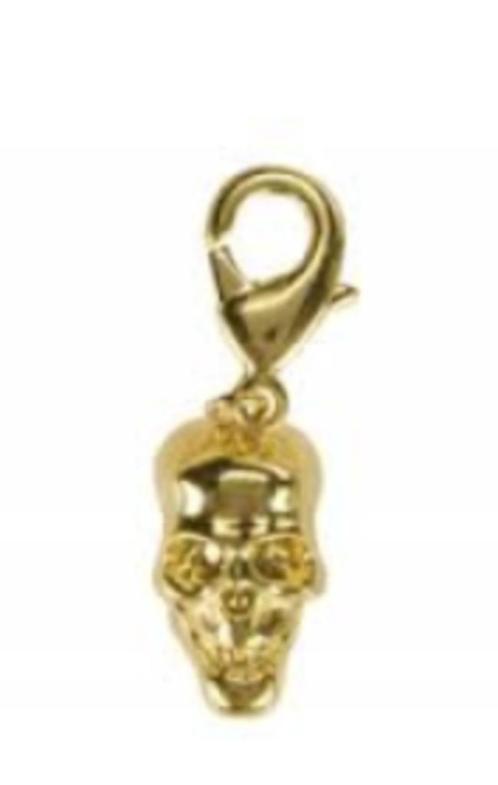 UITVERKOOP Energetix hanger doodshoofd, Sieraden, Tassen en Uiterlijk, Bedels, Nieuw, Overige merken, Overige materialen, 1 bedel