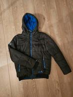 Winterjas Superdry, maat xxl, zwart met blauw, Zwart, Overige maten, Ophalen of Verzenden, Gedragen