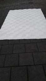 Tapijt, Caravans en Kamperen, Caravan accessoires, Ophalen, Zo goed als nieuw