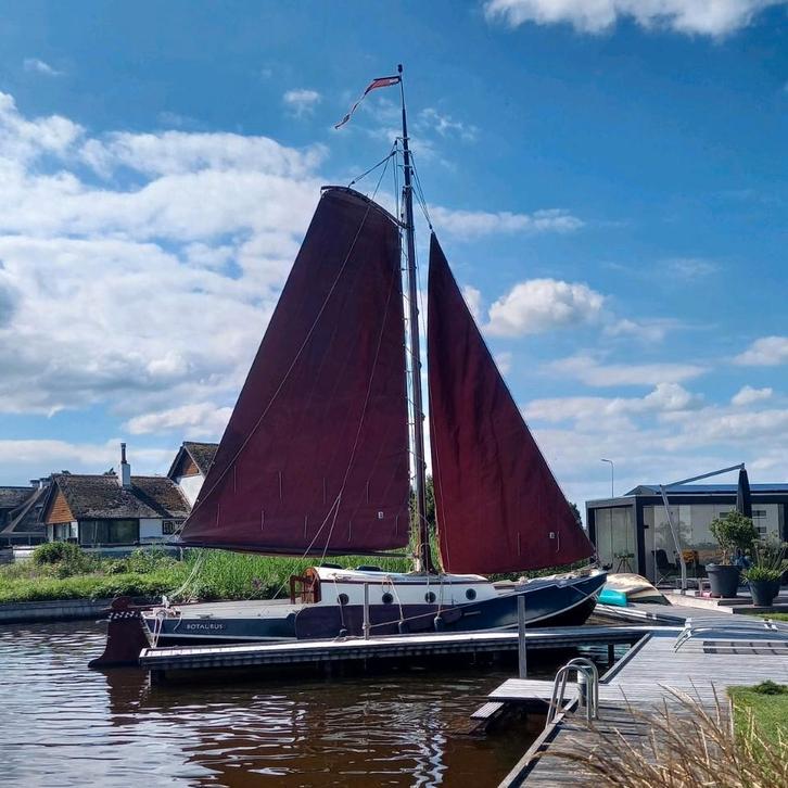 Te koop mast / tuigage zeeschouw Akkerman 9.20m, Watersport en Boten, Platbodems, Gebruikt, Hout, Ophalen of Verzenden