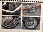 Unieke Harley-Davidson Custom - Professioneel Gebouwd, 2 cilinders, Harley davidson custom, Particulier, Meer dan 35 kW