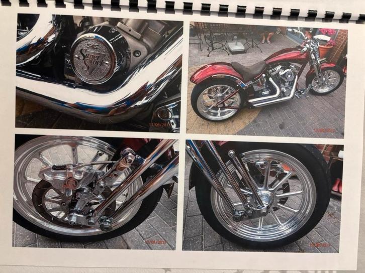 Unieke Harley-Davidson Custom - Professioneel Gebouwd, Motoren, Motoren | Overige merken, Particulier, Chopper, meer dan 35 kW