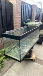 Aquarium 450 liter gratis afhalen, Ophalen, Gebruikt