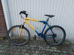 10x GIANT PUCH CANNONDALE mountainbike te koop. Veel merken, Fietsen en Brommers, Gebruikt, 53 tot 57 cm, Giant, Ophalen