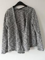 leuk loshangend vestje maat 134/140, Ophalen of Verzenden, Gebruikt, Meisje, Trui of Vest