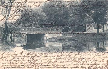 04599 - Haarlem - Schotersingel - gel. 1903 beschikbaar voor biedingen