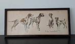 Oude prent ingelijst tekening honden oa Damatier Fox Terrier, Ophalen of Verzenden