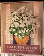 Verkade plaatjesalbum 1928: Kamerplanten A.J. van Laren., Gelezen, Ophalen of Verzenden