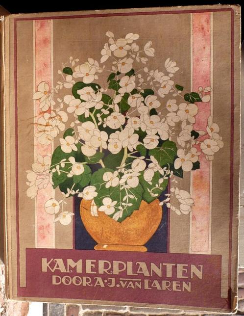 Verkade plaatjesalbum 1928: Kamerplanten A.J. van Laren., Boeken, Prentenboeken en Plaatjesalbums, Gelezen, Ophalen of Verzenden