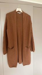Xandres vest Bruin, Kleding | Dames, Truien en Vesten, Ophalen of Verzenden, Zo goed als nieuw, Bruin