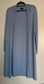 Lang vest lilytime, Kleding | Dames, Grote Maten, Ophalen of Verzenden, Zo goed als nieuw, Blauw, Trui of Vest