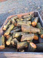 Haardhout appel met kist voor € 70 per kist, Tuin en Terras, Haardhout, Minder dan 3 m³, Ophalen, Overige houtsoorten, Blokken