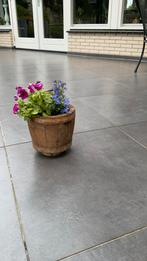 Terraspot met plantjes, Ophalen, Gebruikt, Minder dan 5 m², Overige typen