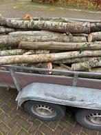 Openhaardhout, Tuin en Terras, Haardhout, Ophalen of Verzenden, Overige houtsoorten, Stammen