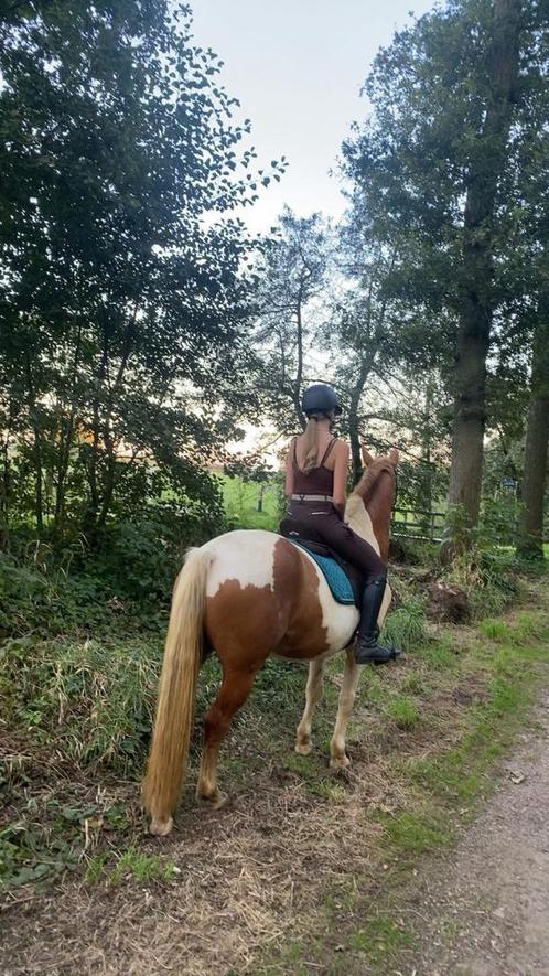 Leaser/bijrijder aangeboden!, Dieren en Toebehoren, Paarden en Pony's | Overige Paardenspullen, Ophalen of Verzenden