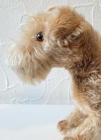 Mooie grote antieke mohair terrier, Ophalen of Verzenden