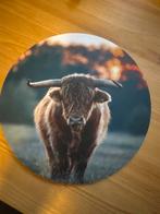 Muurcirkel Foto Hooglander koe op dibond, Ophalen of Verzenden, Nieuw, Foto of Poster, Minder dan 50 cm