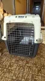 Reis- en kamerbenches voor honden en katten, Ophalen, Zo goed als nieuw