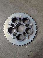 Ducatie pannagale tandwiel nieuw, Ophalen of Verzenden, Nieuw