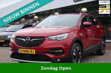 Opel Grandland X 1.2 Turbo Innovation LED_LEDER_COMFOR-STOEL beschikbaar voor biedingen