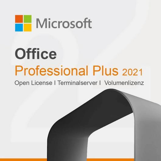 Office 2021 Professional Plus LTSC, Computers en Software, Office-software, Zo goed als nieuw, Android, iOS, MacOS, Windows, Access