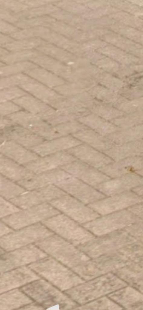 Betonstenen grote partij. Geel. Rood. Zwart, Tuin en Terras, Tegels en Klinkers, Gebruikt, Klinkers, Beton, Ophalen