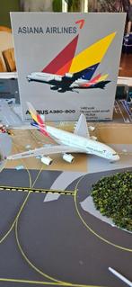 Asiana Airlines A380 1:400 AV400, Ophalen of Verzenden, Zo goed als nieuw, Schaalmodel