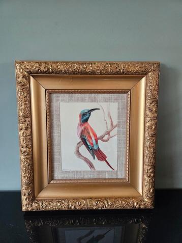 Vintage vogel tekening in gouden klassieke lijst beschikbaar voor biedingen