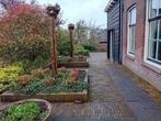 Regio Flakkee Schouwe Duiveland Hellevoetsluis, Ophalen, Nieuw