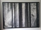 Ikea Björkstra poster met zwarte lijst 200x140cm, Huis en Inrichting, Woonaccessoires | Schilderijen, Tekeningen en Foto's, Ophalen