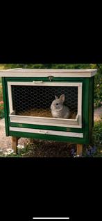 Mooi konijnenhokje en vogelhuisje, Minder dan 75 cm, Zo goed als nieuw, Ren, Ophalen