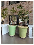 4 grote Terracotta bloempotten 100 CM  met planten, Tuin en Terras, Ophalen, 40 cm of meer, Rond, Tuin