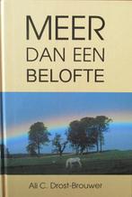 Ali C. Drost – Brouwer – V - Meer dan een belofte (2x), Ophalen of Verzenden, Gelezen