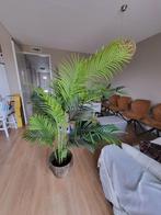 Areca Goudpalm kunstplant, Huis en Inrichting, Kamerplanten, Palm, 150 tot 200 cm, Ophalen, Groene kamerplant