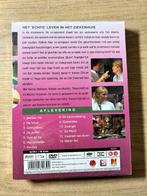 NIEUW | DVD De Co-Assistent Seizoen 1, Alle leeftijden, Ophalen of Verzenden, Nieuw in verpakking, Komedie