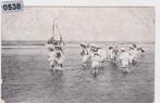 150538 In het zilte nat Zandvoort uude kaart zegel 1915, Verzenden, Voor 1920, Gelopen, Noord-Holland
