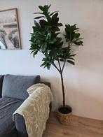 KEA FEJKA Kunstplant met FRIDFULL Pot, Ophalen, Zo goed als nieuw, Binnen