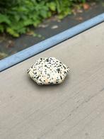 Dalmatier jaspis edelsteen uit Oostenrijk, Sieraden, Tassen en Uiterlijk, Edelstenen, Ophalen of Verzenden, Nieuw
