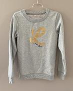 Mooie grijze sweater van Street Called Madison in maat 176, Meisje, Trui of Vest, Street Called Madison, Ophalen of Verzenden