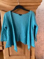 Vestje Bindi maat L/XL, Kleding | Dames, Bindi, Maat 42/44 (L), Ophalen of Verzenden, Gedragen