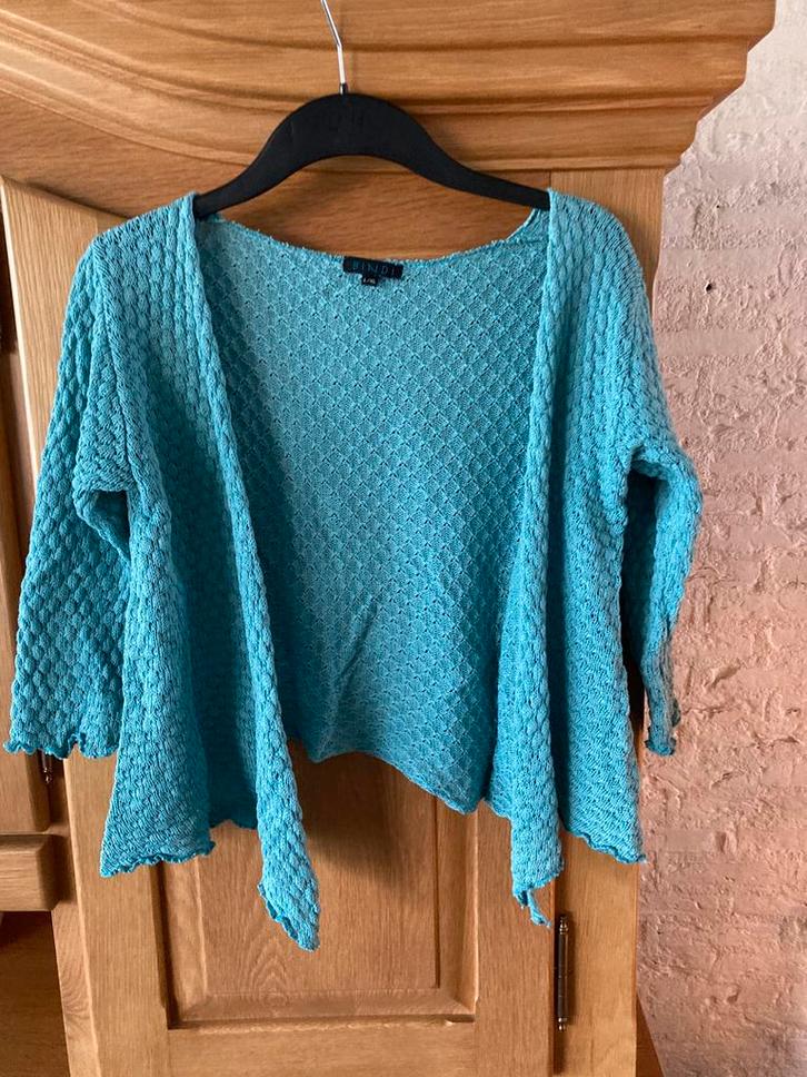 Vestje Bindi maat L/XL, Kleding | Dames, Truien en Vesten, Gedragen, Maat 42/44 (L), Groen, Ophalen of Verzenden