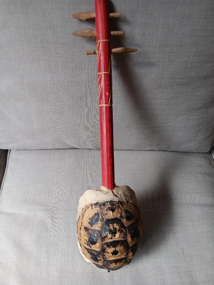 Gunibri Muziekinstrument met Schildpad Schild Klankkast, Antiek en Kunst, Curiosa en Brocante, Ophalen of Verzenden