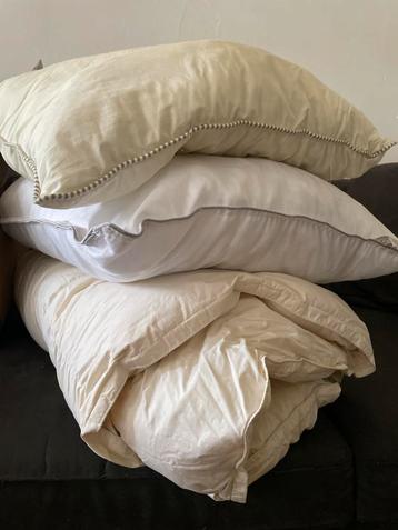 Set van kussen beddek- Beige/Wit beschikbaar voor biedingen