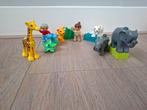 Duplo zoo dieren tijger, olifant, ijsbeer, verzorger, Ophalen of Verzenden, Zo goed als nieuw