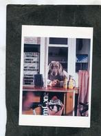 Ansicht Wlliam Wegman - Hot Fudge, Verzenden, 1980 tot heden, Ongelopen