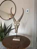 PTMD Hertenhoofd Decoratie, Ophalen