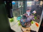 Juwel Lido 120 incl. Onderkast, Dieren en Toebehoren, Vissen | Aquaria en Toebehoren, Ophalen, Gebruikt, Leeg aquarium
